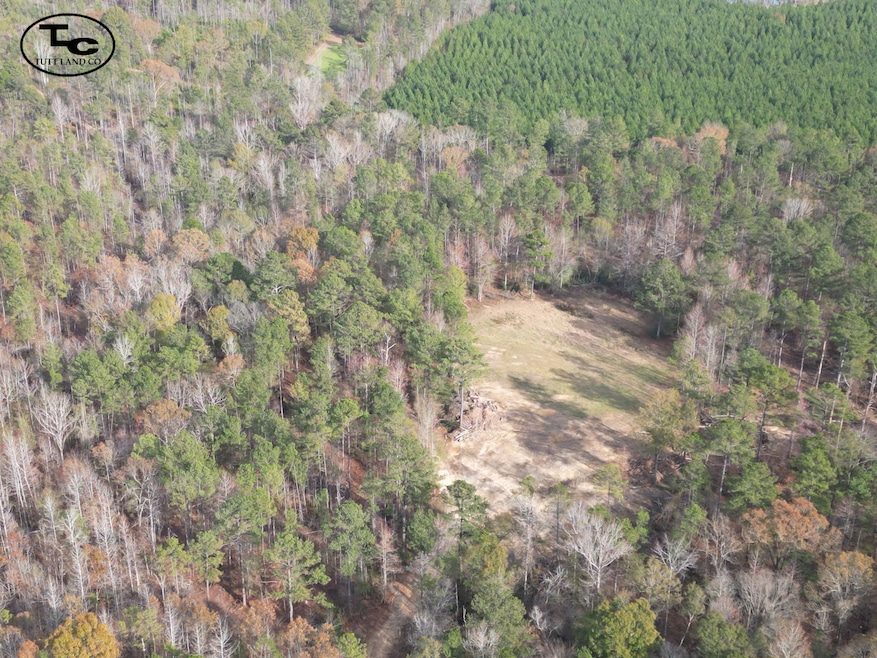 0 Fleming Rd unit 23463492, Vincent, AL 35178 - photo 1