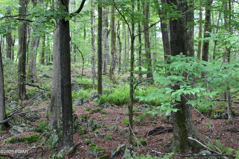 Sold $9,500 • Co-Listing Agent