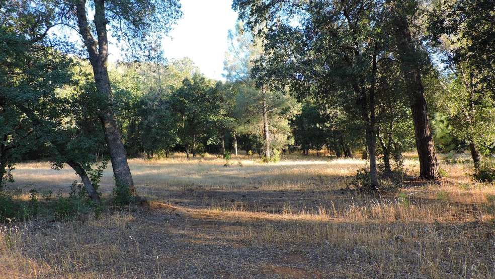 0 Fieldbrook Estates Dr unit 17-559, Redding, CA 96003 - photo 1