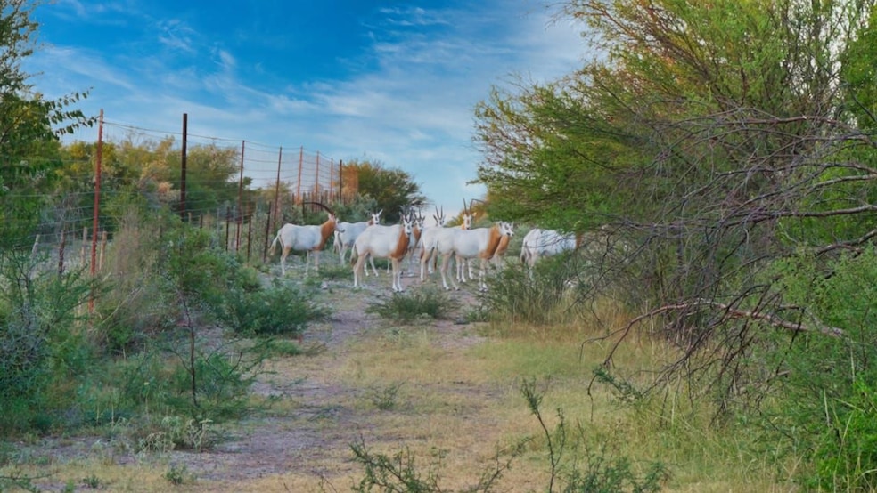 000 Ranch To Market 3008, Brackettville, TX 78832 - photo 1