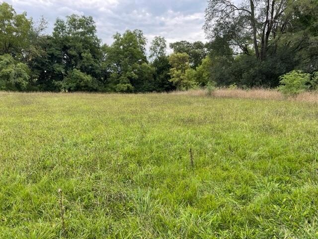 Jack - Vacant Land 2