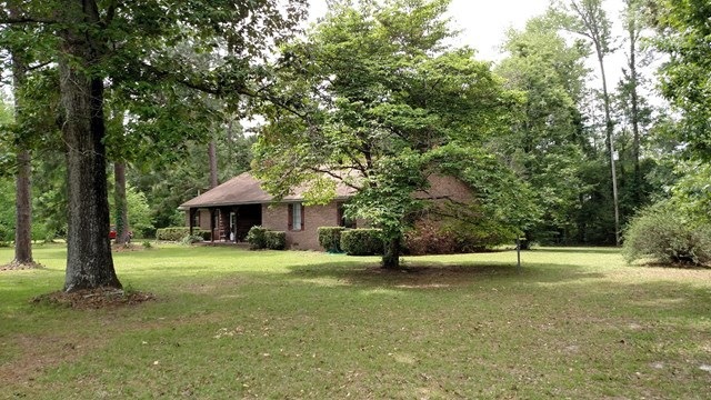 Main View