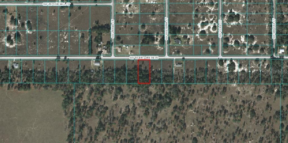 0 SW Tiger Lake Blvd unit OM608040, Dunnellon, FL 34431 - photo 1