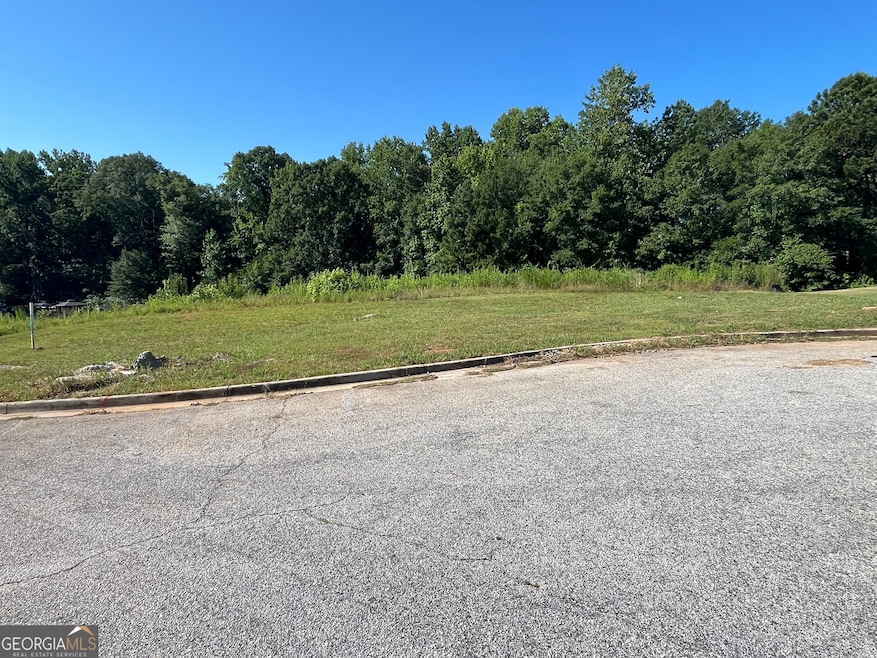 1036 Battersea Place, Locust Grove, GA 30248 - photo 1