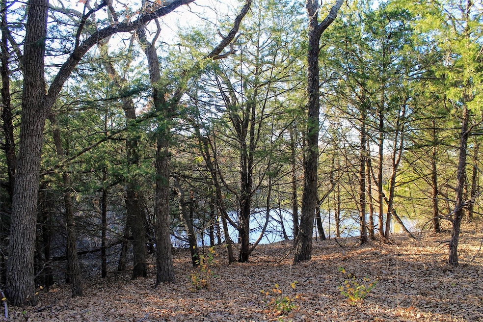 Elevated area, potential build site.