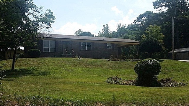 Main View