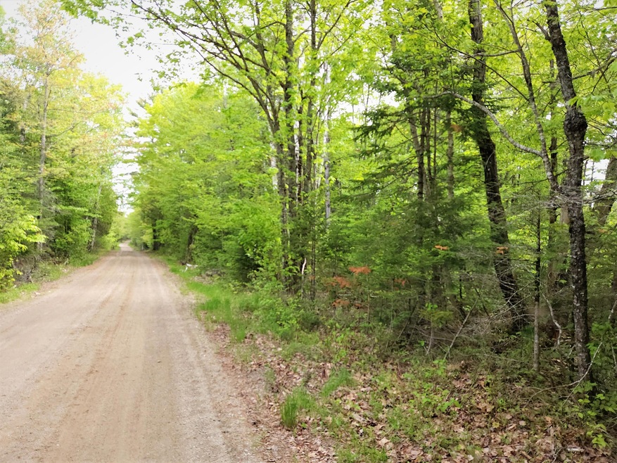02_LowerRoad