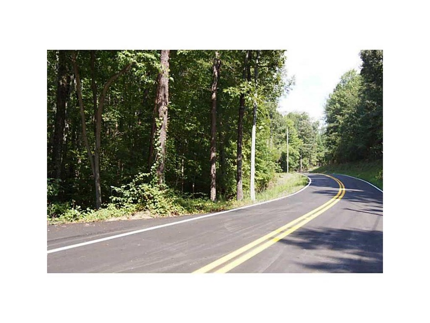 Land. Long road frontage on Sleepy Hollow Road.