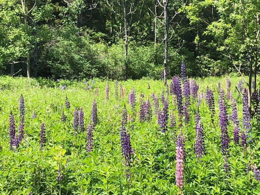 11C1 Old County Rd, Bristol, ME 04558 - photo 1