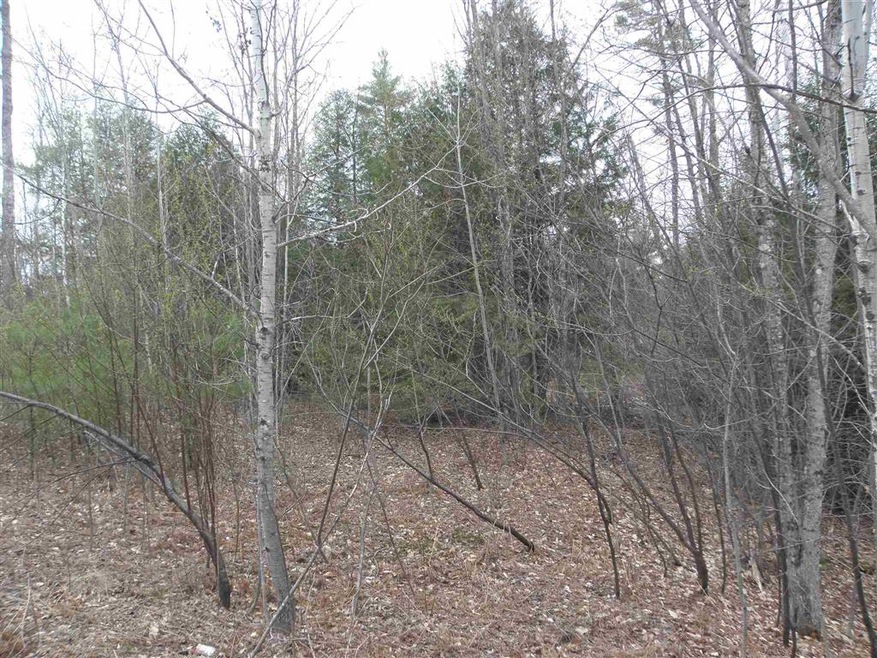 28 Champagne Cir, Campton, NH 03223 - photo 1