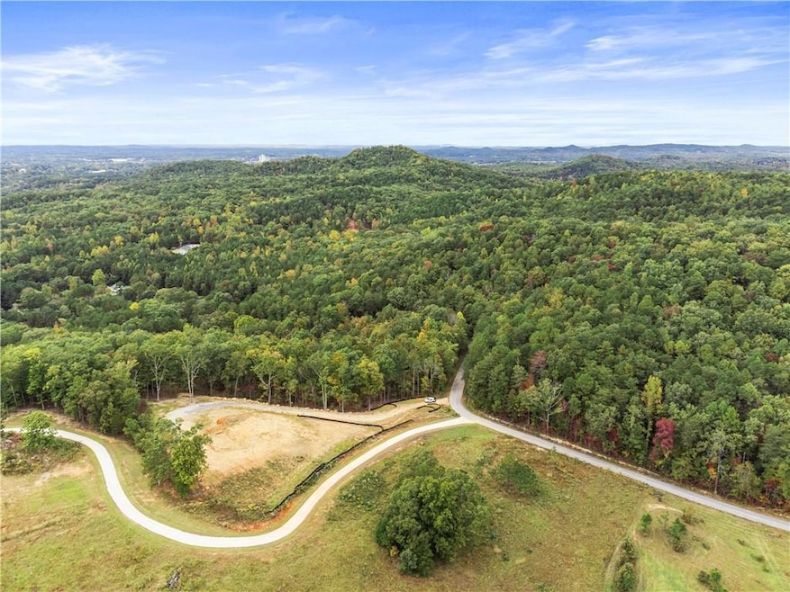 0 Coots Lake Rd unit 7495676, Rockmart, GA 30153 - photo 1