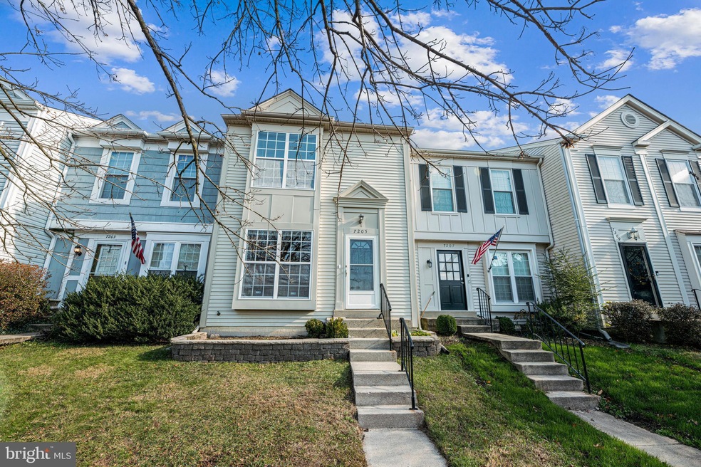 7205 Stover Dr, Alexandria, VA 22306 - photo 1