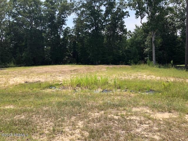 Front view to woods