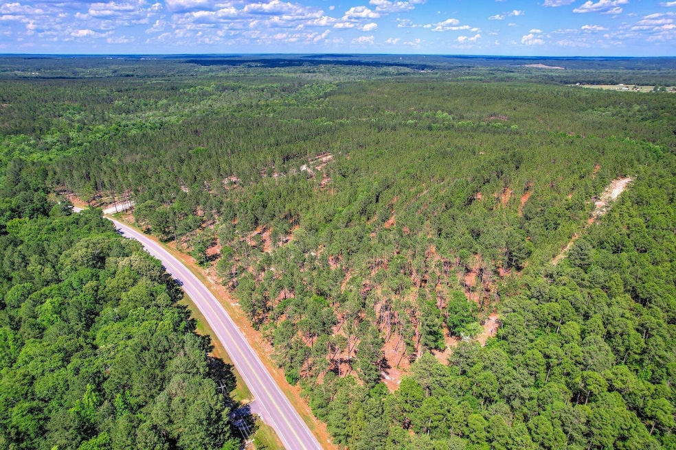 80 Acres Columbia Hwy N, Ridge Spring, SC 29129 - photo 1