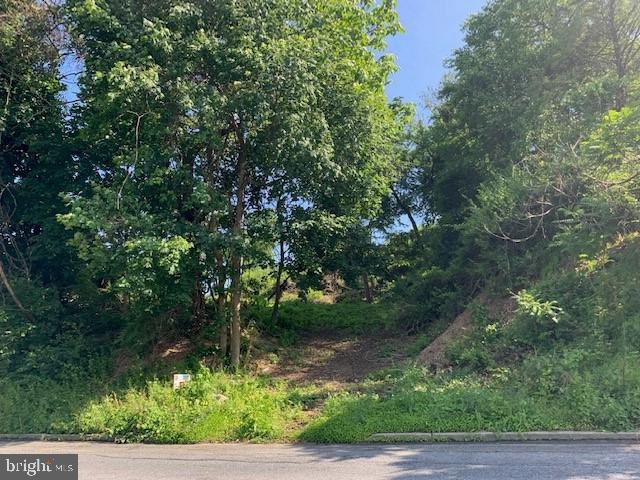 120 Ardmore Ave, Reading, PA 19607 - photo 1