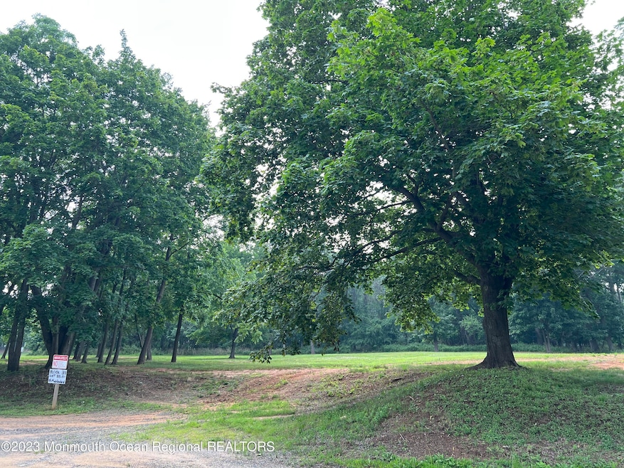 13 Muhlenbrink Rd, Colts Neck, NJ 07722 - photo 1