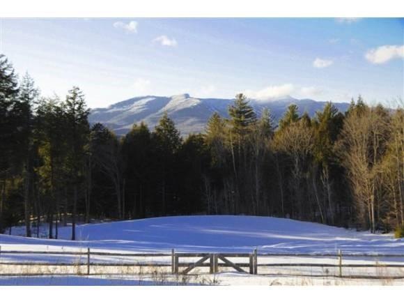 11 Grey Birch Rd, Stowe, VT 05672 - photo 1