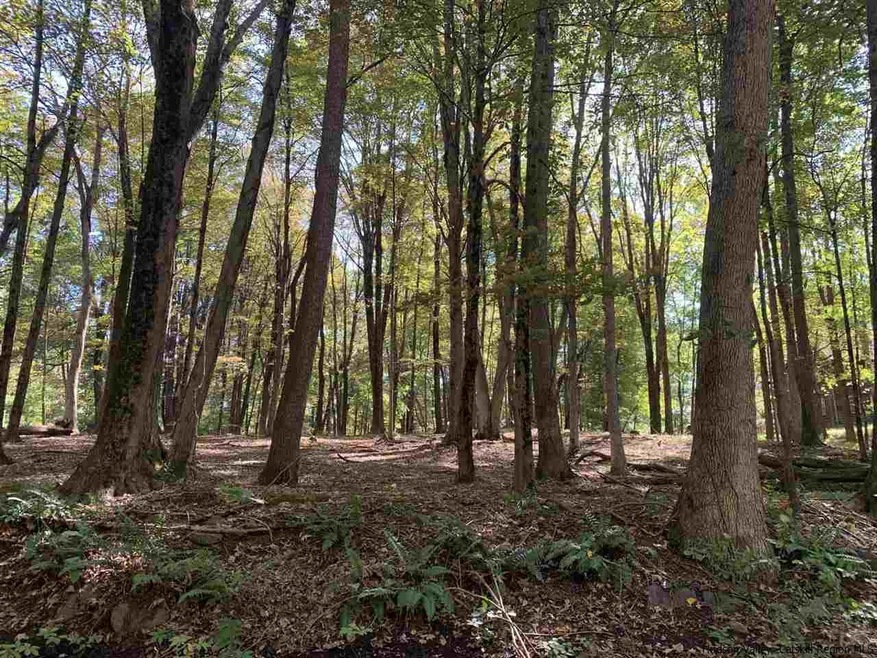 516 Swartekill Rd, New Paltz, NY 12561 - photo 1