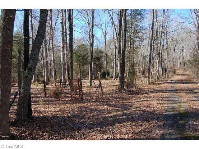 0 Pisgah Covered Bridge Rd unit 601041, Asheboro, NC 27205 - photo 1