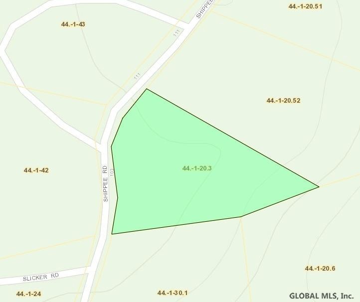 L203 Shippee Rd, Day, NY 12822 - photo 1