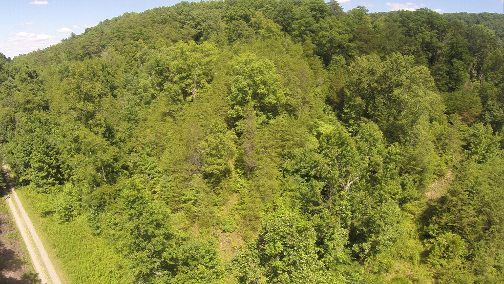 G0095739