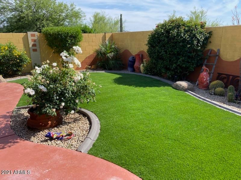 Backyard Turf