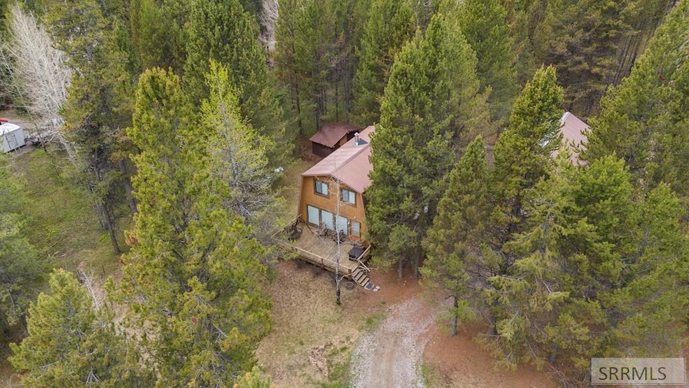 Main View