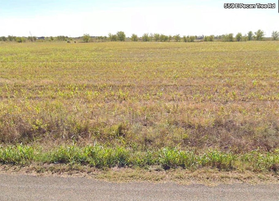 Lot 7 E Pecan Tree Rd, Waxahachie, TX 75165 - photo 1