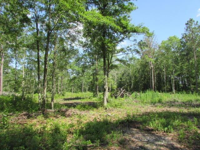 000 Mcqueen Rd, Moultrie, GA 31788 - photo 1