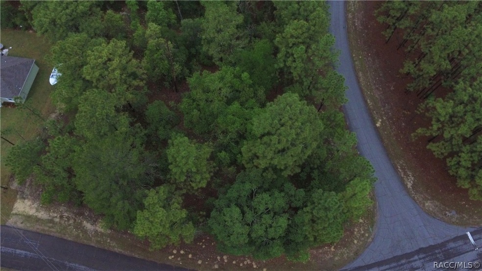 9290 N Marcus Way, Citrus Springs, FL 34433 - photo 1