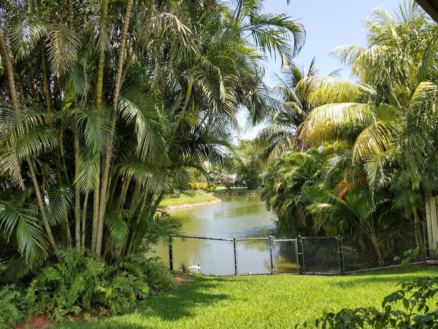 Lake view