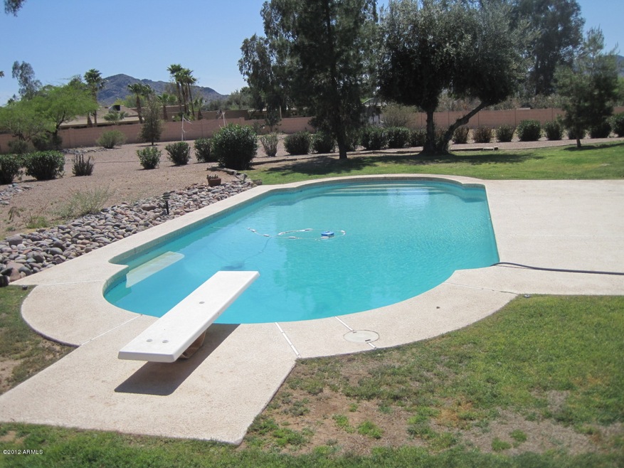 DIVING POOL
