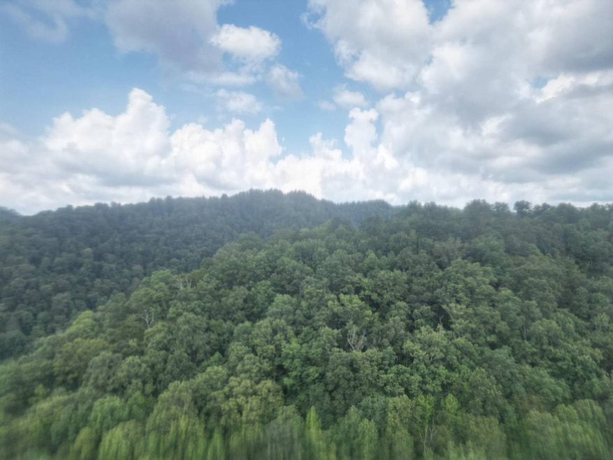 0 Rd, Wharncliffe, WV 24862 - photo 1