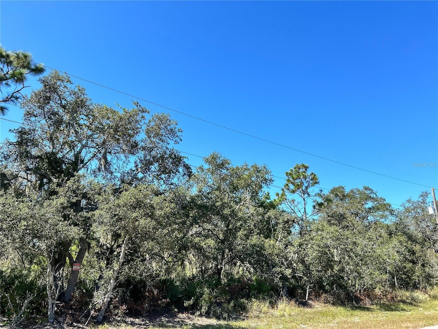 0 Woodstork Way unit MFRL4957348, Frostproof, FL 33843 - photo 1