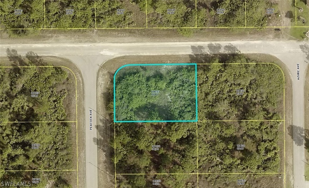 705 Peacock Ave, Lehigh Acres, FL 33974 - photo 1