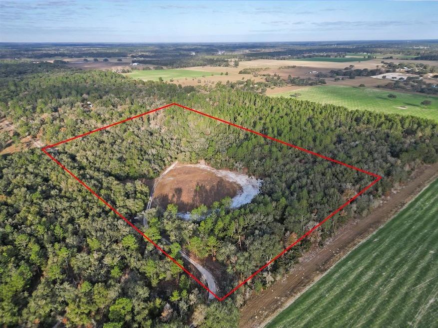 10431 NE 32nd Ln, Bronson, FL 32621 - photo 1