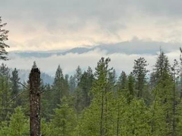 468X Lot C Grouse Creek Rd, Chewelah, WA 99109 - photo 1