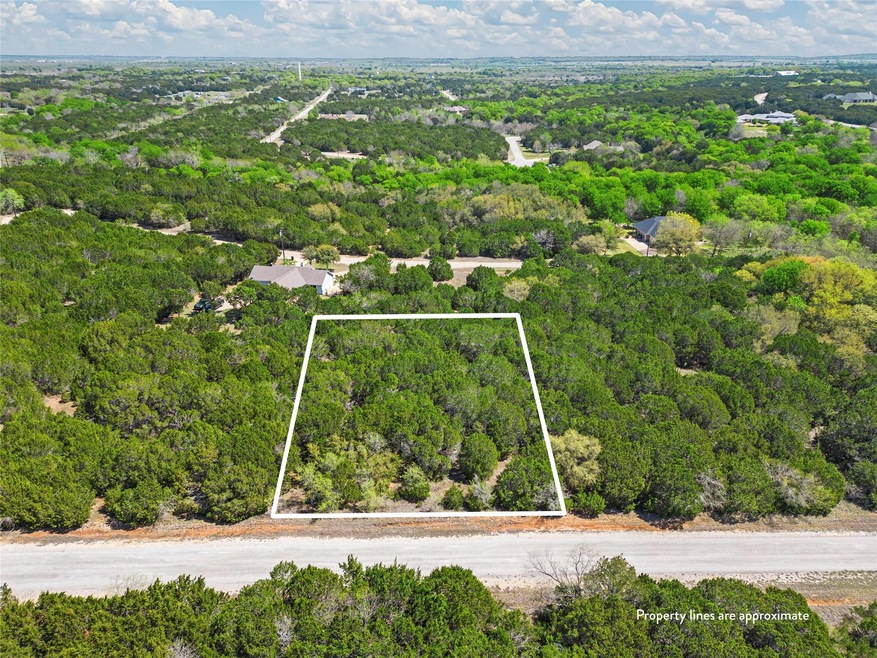 12103 Oak Dale Dr, Whitney, TX 76692 - photo 1