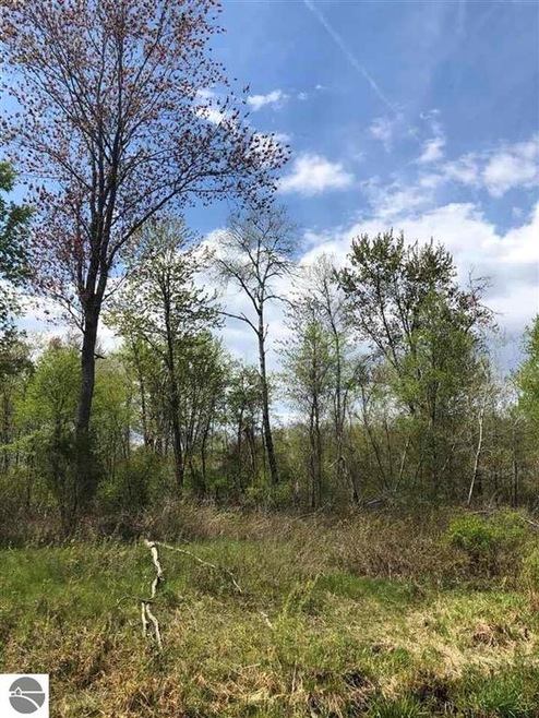 0 Rhodes Rd, Sherman Township, MI 48748 - photo 1