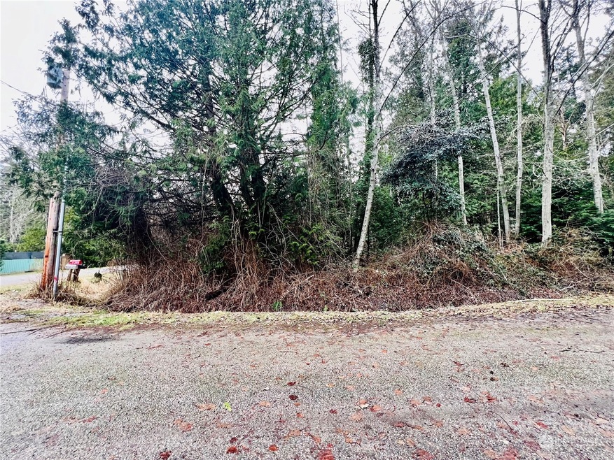 1394 Rex St, Point Roberts, WA 98281 - photo 1