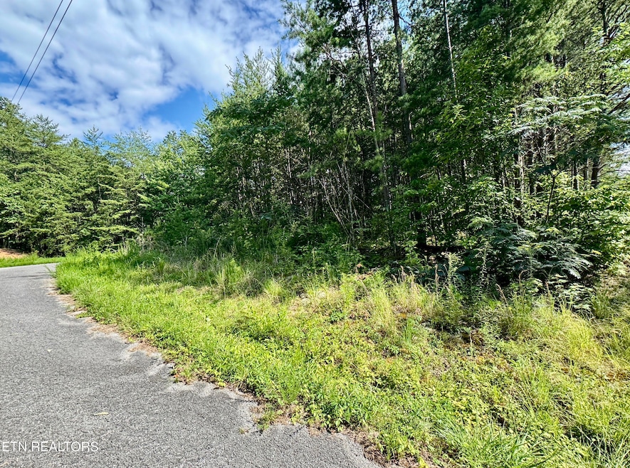 0 Sassafras Trail, Sevierville, TN 37876 - photo 1