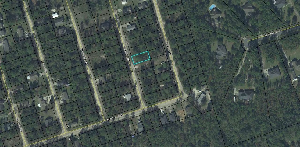 0 Tranquil Ln, Crawfordville, FL 32327 - photo 1