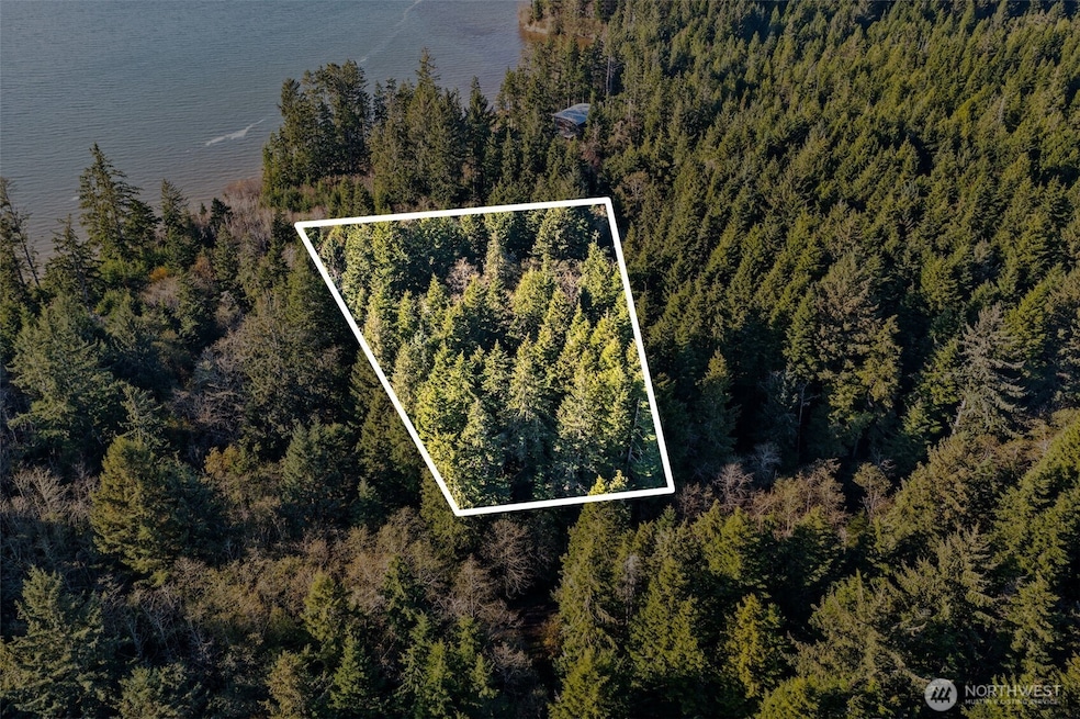 0 Lot 35 Bay Ln, South Bend, WA 98596 - photo 1