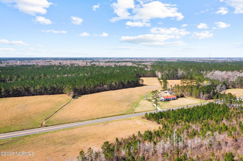 1-web-or-mls-DJI_0771