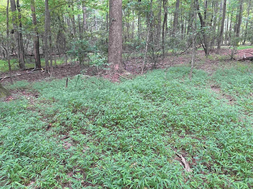 Sold $65,000 • Co-Listing Agent