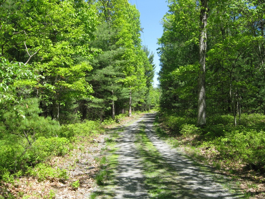 Parcel 2 Frenchtown Rd, Milford, PA 18337 - photo 1