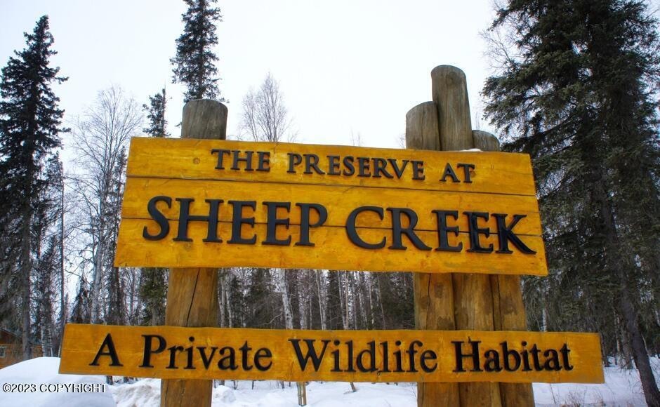 49375 S Noahs Cir, Willow, AK 99688 - photo 1