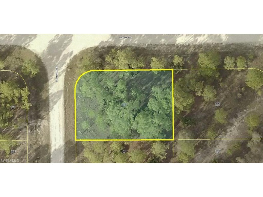 827 Oakridge Ave S, Lehigh Acres, FL 33974 - photo 1