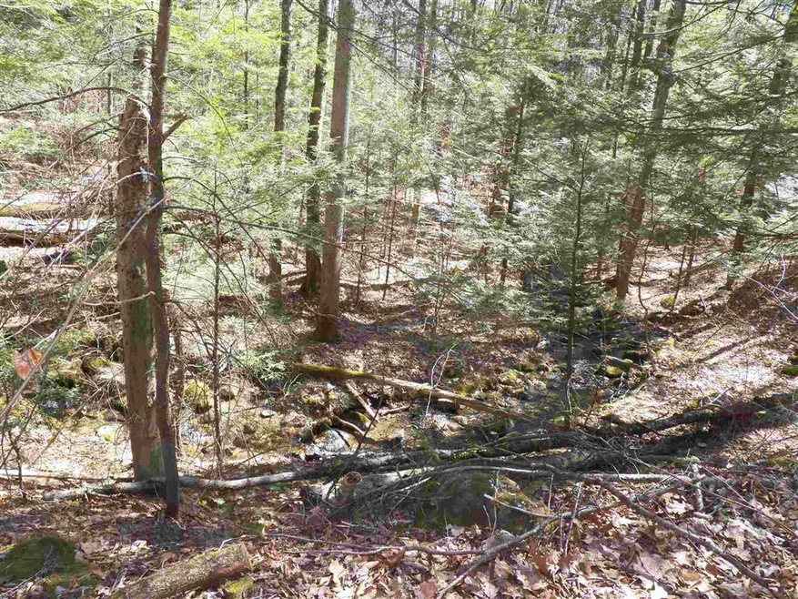 85-5-0 Cobble Hill Rd, Swanzey, NH 03446 - photo 1