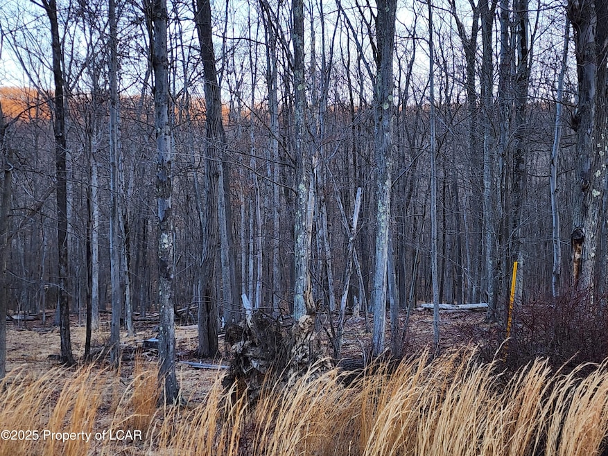 JA 254R Tuscarora Dr, Hazle Township, PA 18202 - photo 1